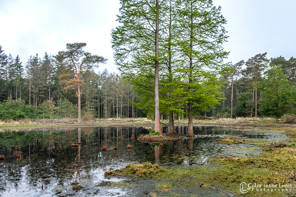 Project 'Het Verdronken Bankje' II | Kromven, Stiphoutse bossen