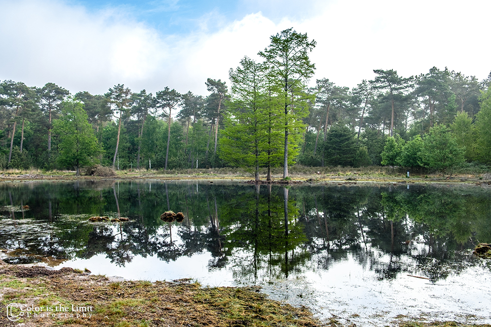 Project 'Het Verdronken Bankje' II | Kromven, Stiphoutse bossen