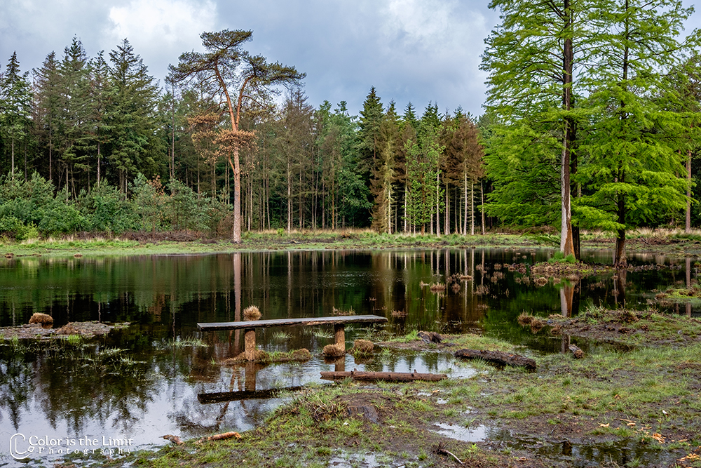 Project 'Het Verdronken Bankje' II | Kromven, Stiphoutse bossen