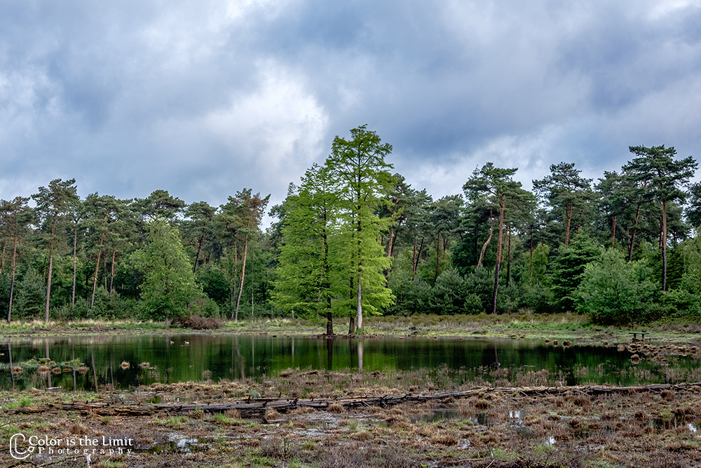 Project 'Het Verdronken Bankje' II | Kromven, Stiphoutse bossen