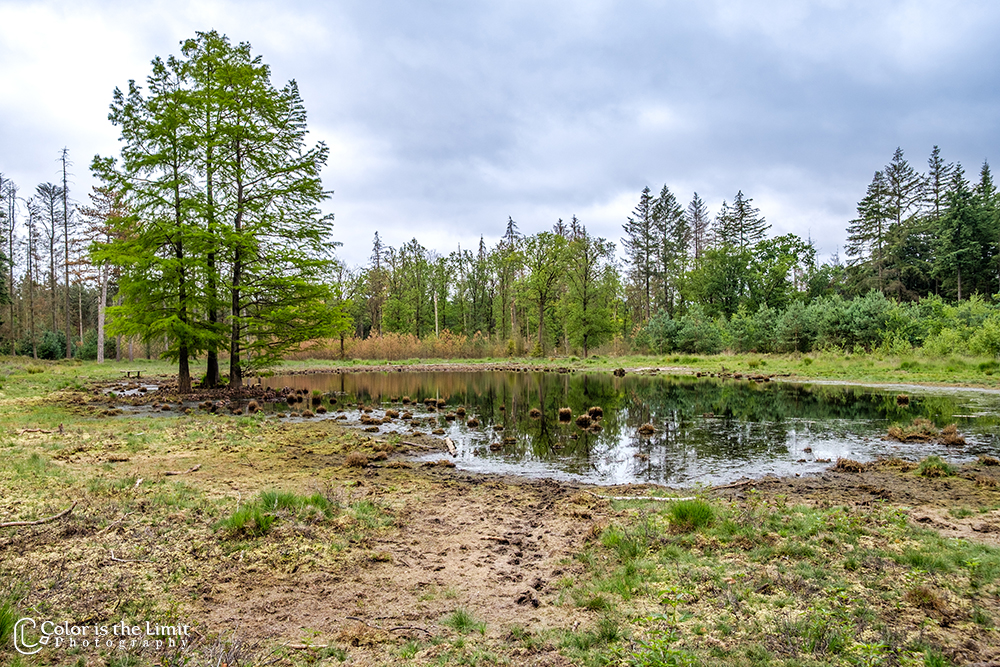 Project 'Het Verdronken Bankje' II | Kromven, Stiphoutse bossen