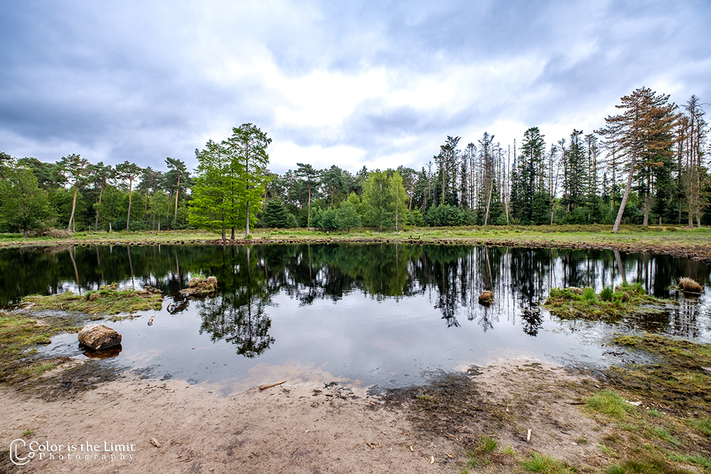 Project 'Het Verdronken Bankje' II | Kromven, Stiphoutse bossen