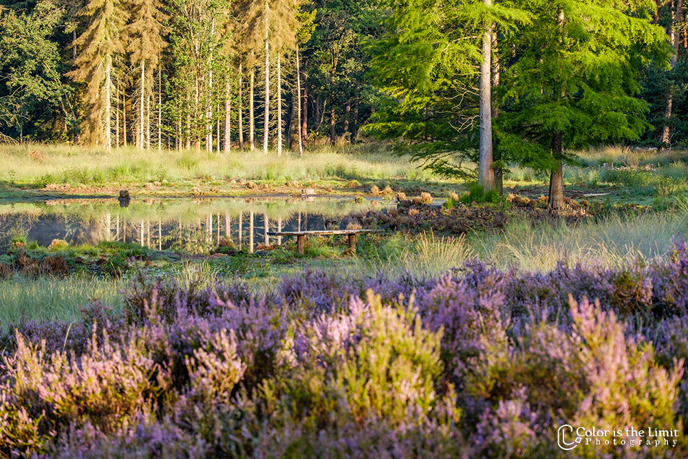 Project 'Het Verdronken Bankje' II | Kromven, Stiphoutse bossen