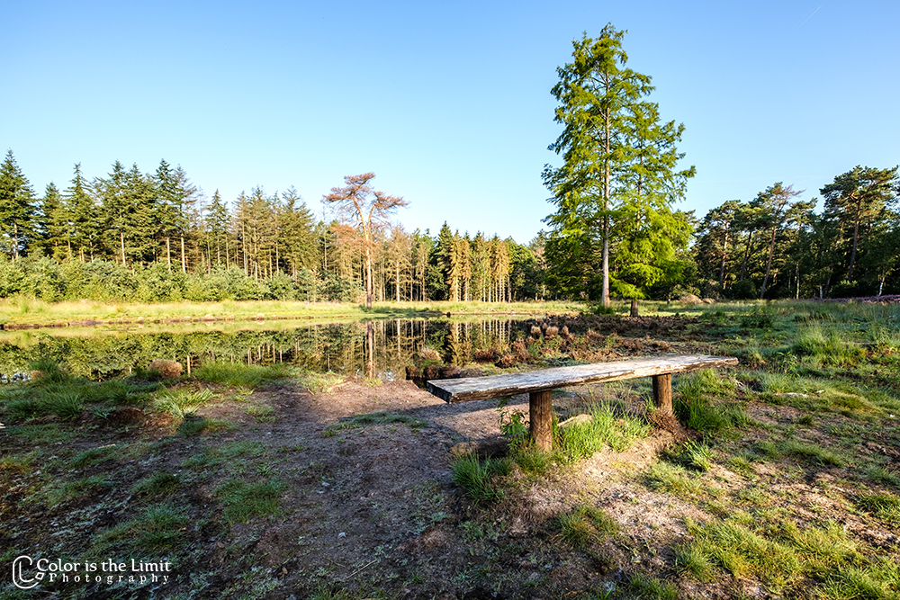 Project 'Het Verdronken Bankje' II | Kromven, Stiphoutse bossen