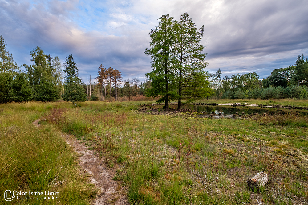Project 'Het Verdronken Bankje' II | Kromven, Stiphoutse bossen
