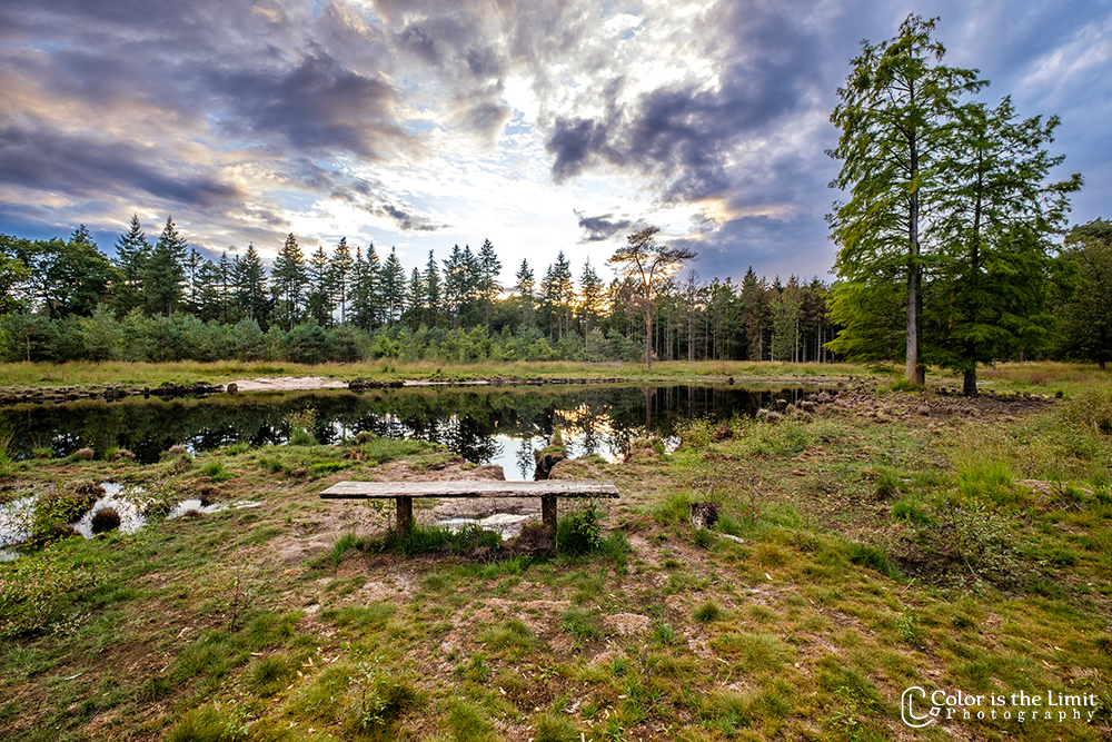 Project 'Het Verdronken Bankje' II | Kromven, Stiphoutse bossen