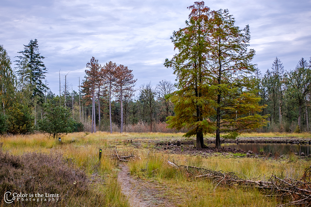 Project 'Het Verdronken Bankje' II | Kromven, Stiphoutse bossen