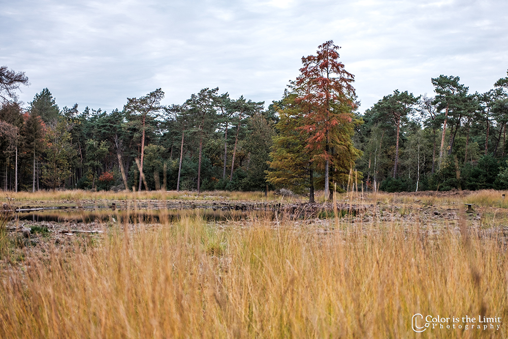 Project 'Het Verdronken Bankje' II | Kromven, Stiphoutse bossen