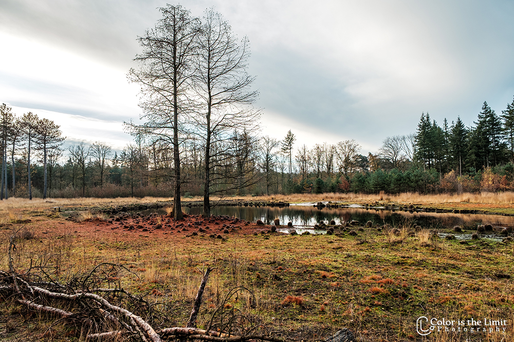Project 'Het Verdronken Bankje' II | Kromven, Stiphoutse bossen