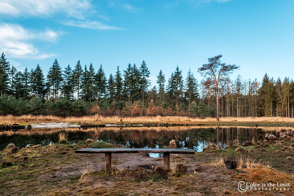 Project 'Het Verdronken Bankje' II | Kromven, Stiphoutse bossen