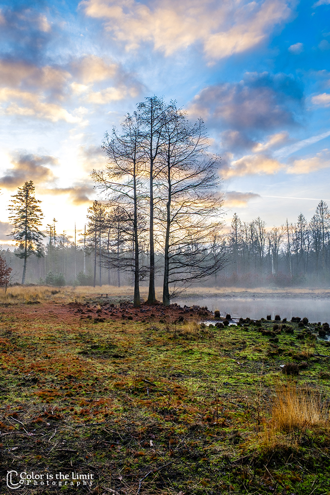 Project 'Het Verdronken Bankje' II | Kromven, Stiphoutse bossen