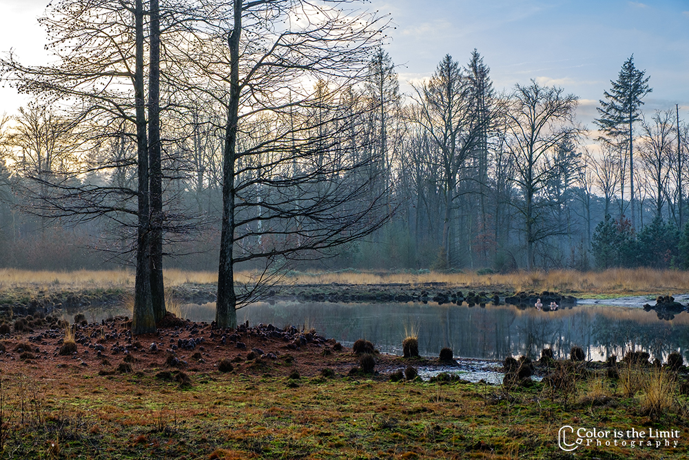 Project 'Het Verdronken Bankje' II | Kromven, Stiphoutse bossen
