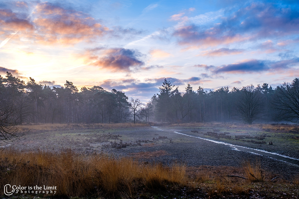 Helmond | Stiphoutse bossen