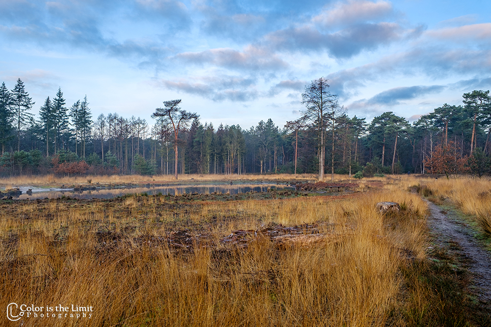 Helmond | Stiphoutse bossen