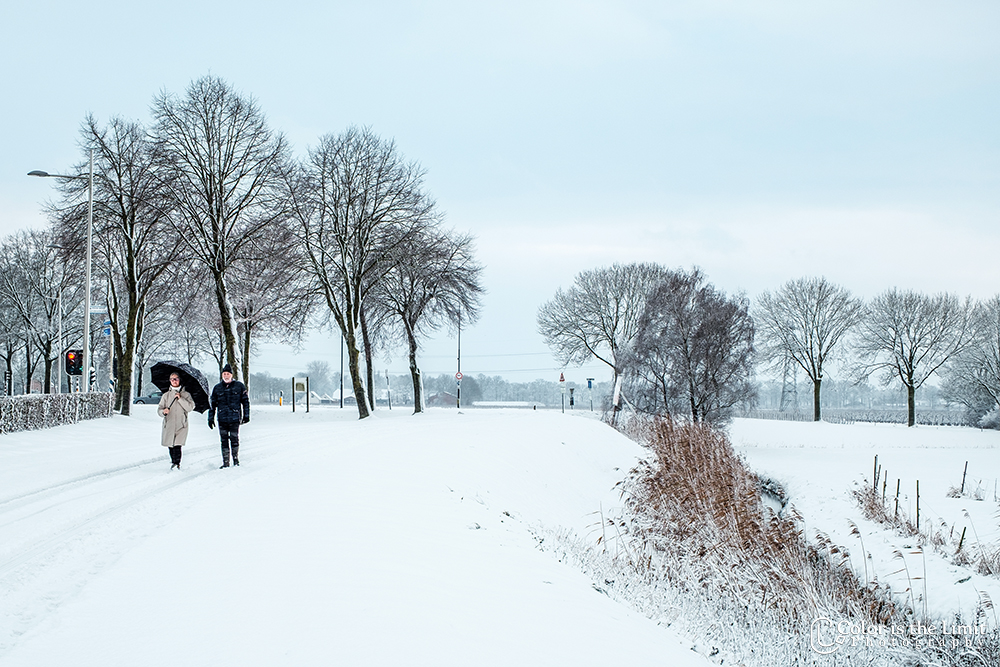 Helmond | Sneeuw