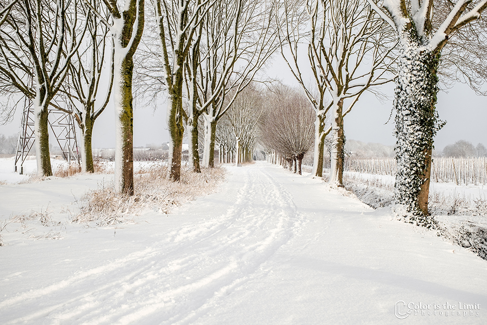 Helmond 't Groot Goor | Sneeuw