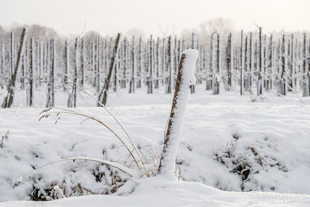 Helmond 't Groot Goor | Sneeuw