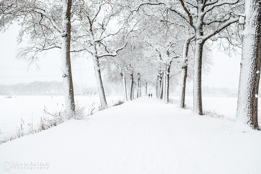 Helmond 't Groot Goor | Sneeuw