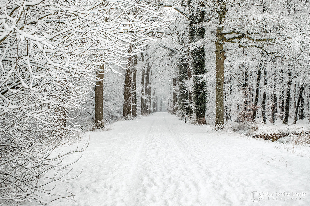 Helmond 't Groot Goor | Sneeuw