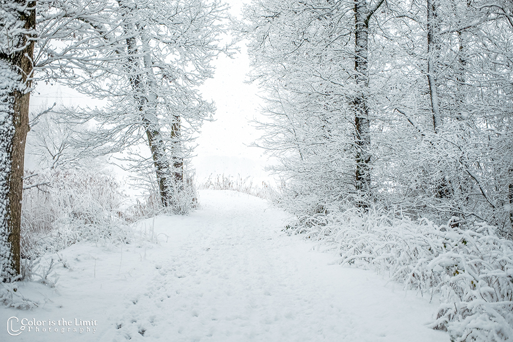Helmond 't Groot Goor | Sneeuw