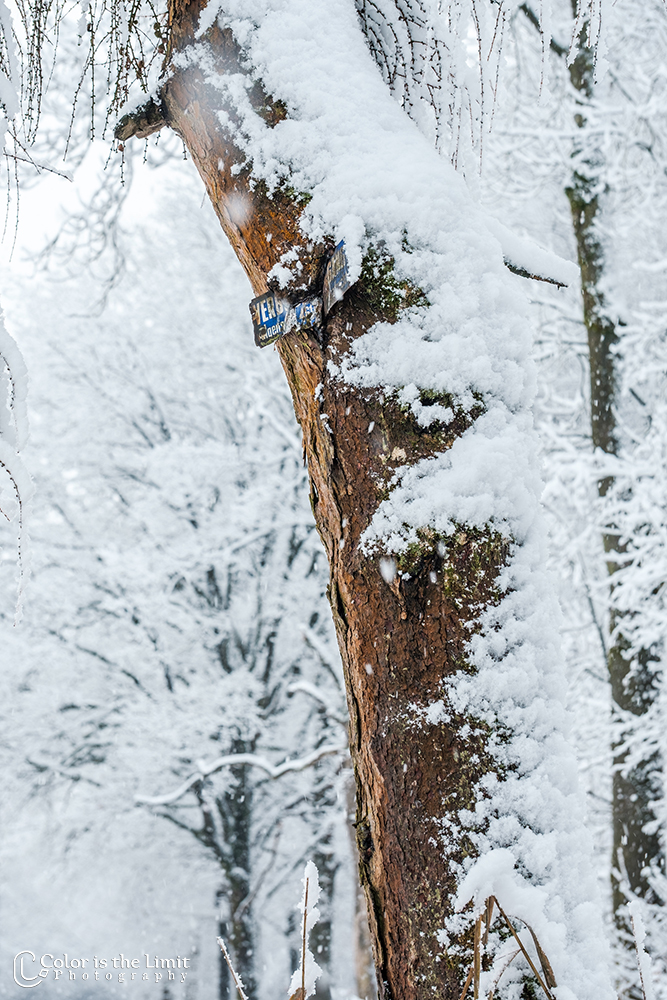 Helmond 't Groot Goor | Sneeuw