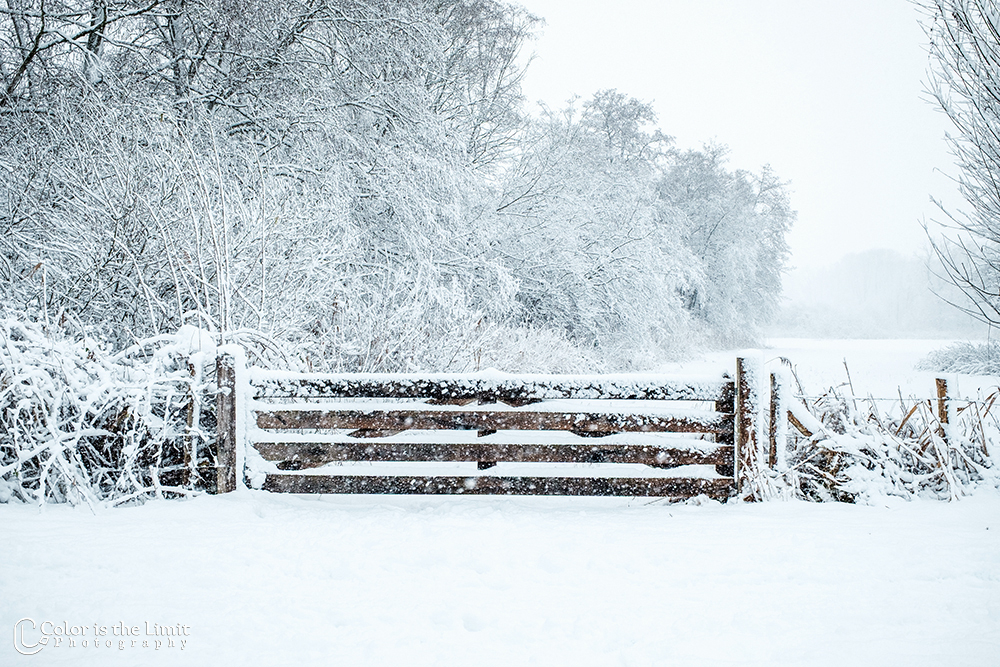 Helmond 't Groot Goor | Sneeuw