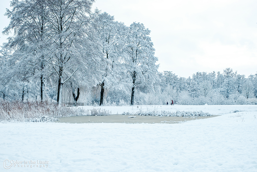 Helmond 't Groot Goor | Sneeuw