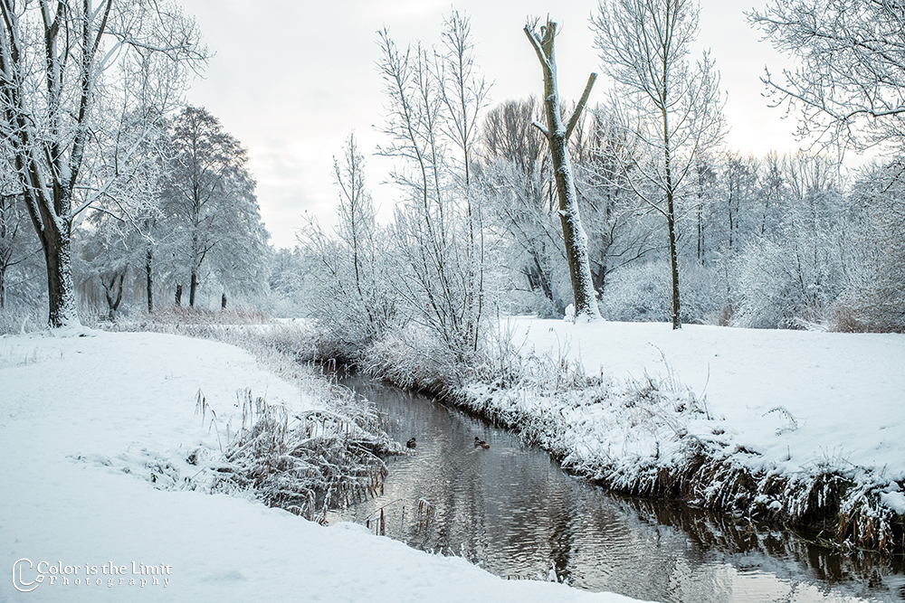 Helmond 't Groot Goor | Sneeuw