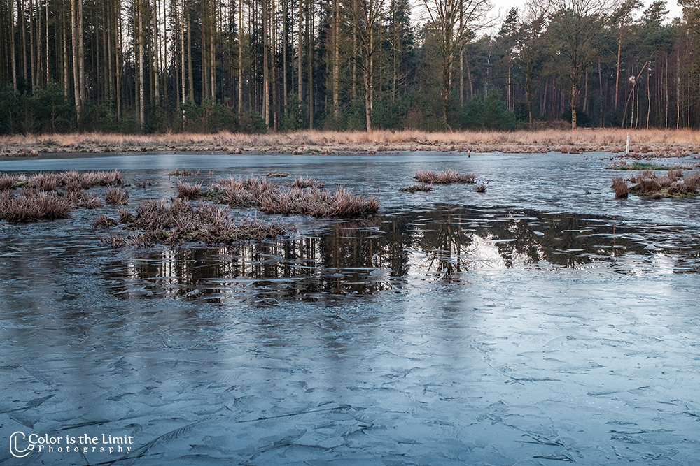 Winterwandeling | Stiphoutse bossen