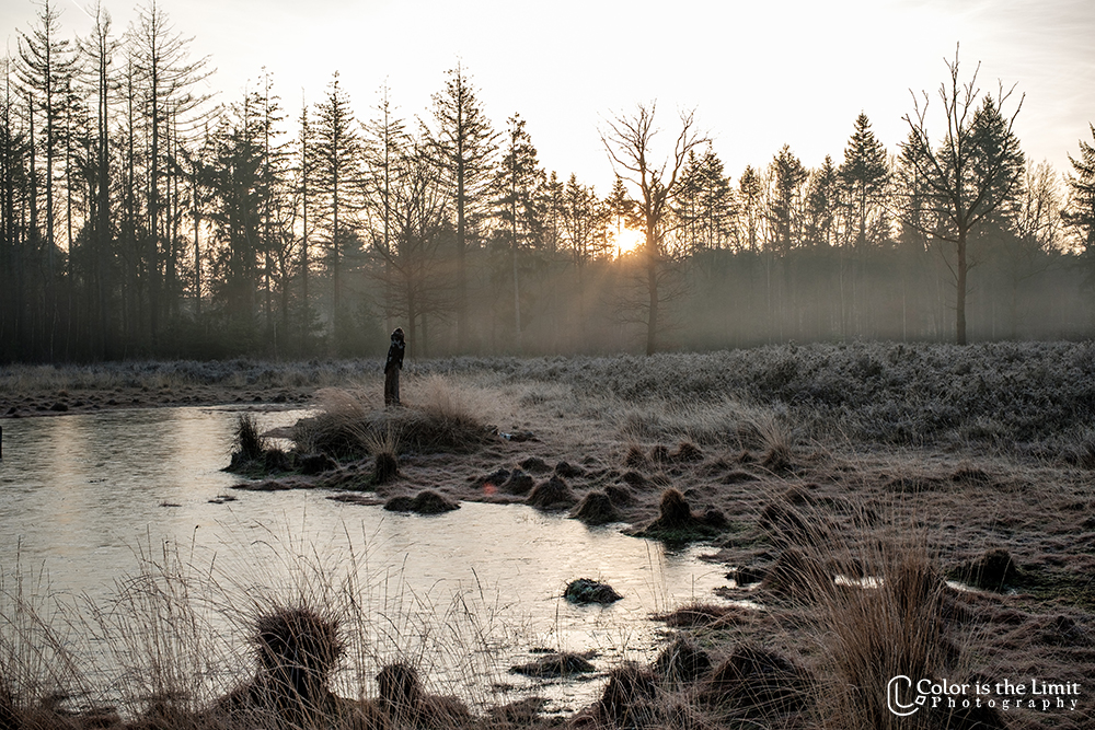Winterwandeling | Stiphoutse bossen