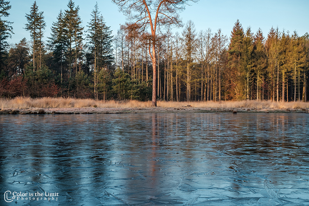 Winterwandeling | Stiphoutse bossen