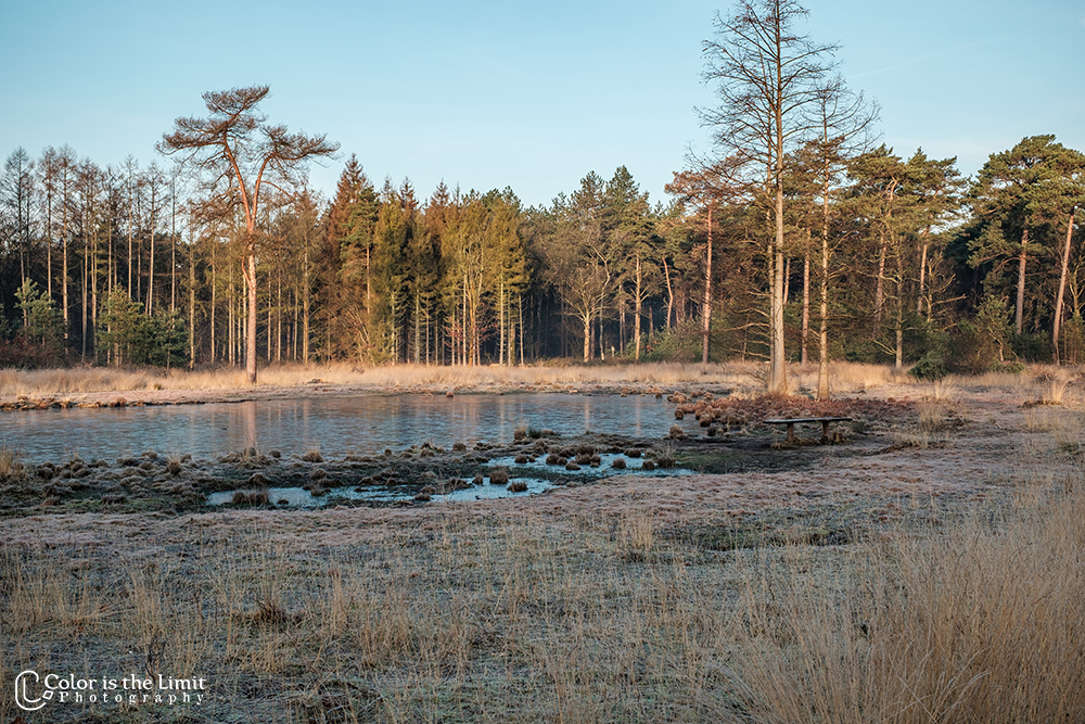 Winterwandeling | Stiphoutse bossen