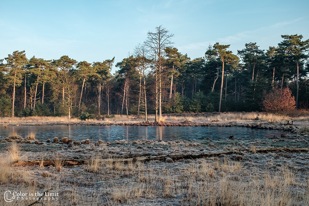Winterwandeling | Stiphoutse bossen