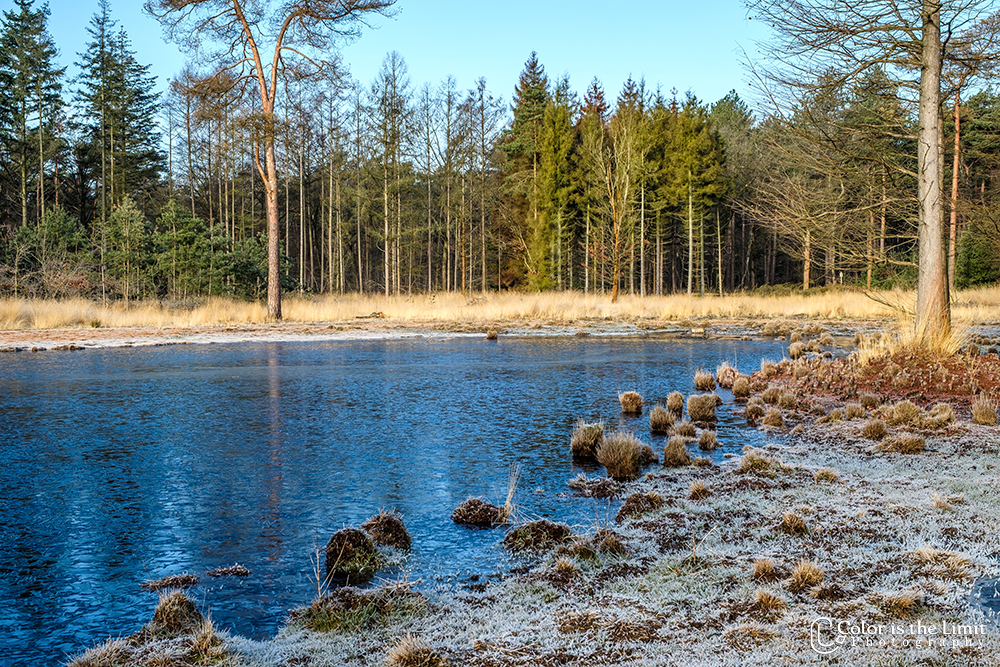 Ochtendwandeling | Stiphoutse bossen