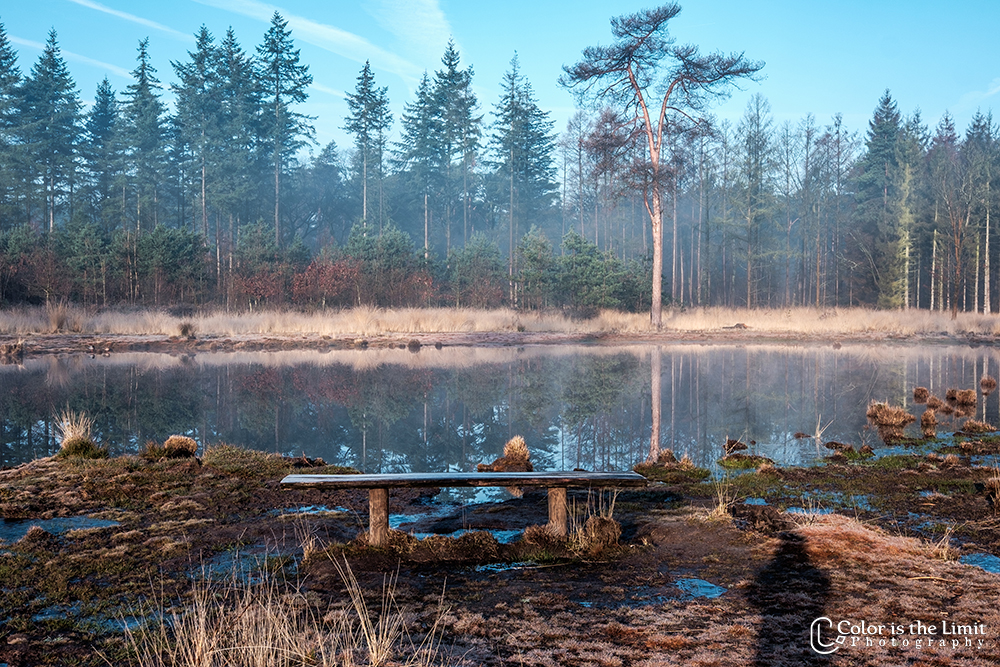 Zondagochtendwandeling | Stiphoutse bossen