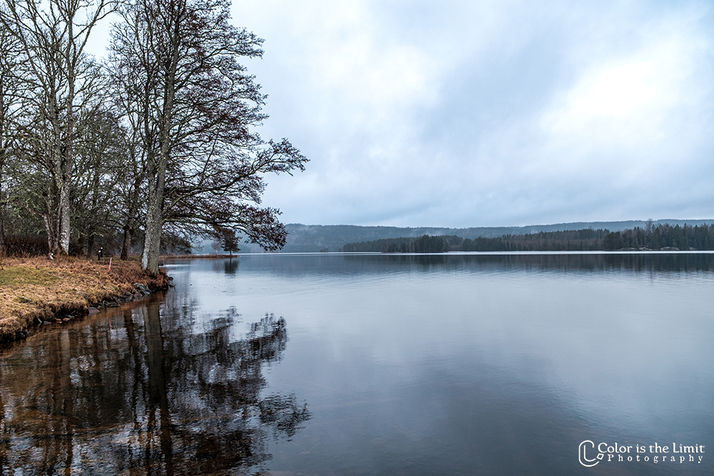 Mellan-svan - Svanskog - Säffle - Sverige
