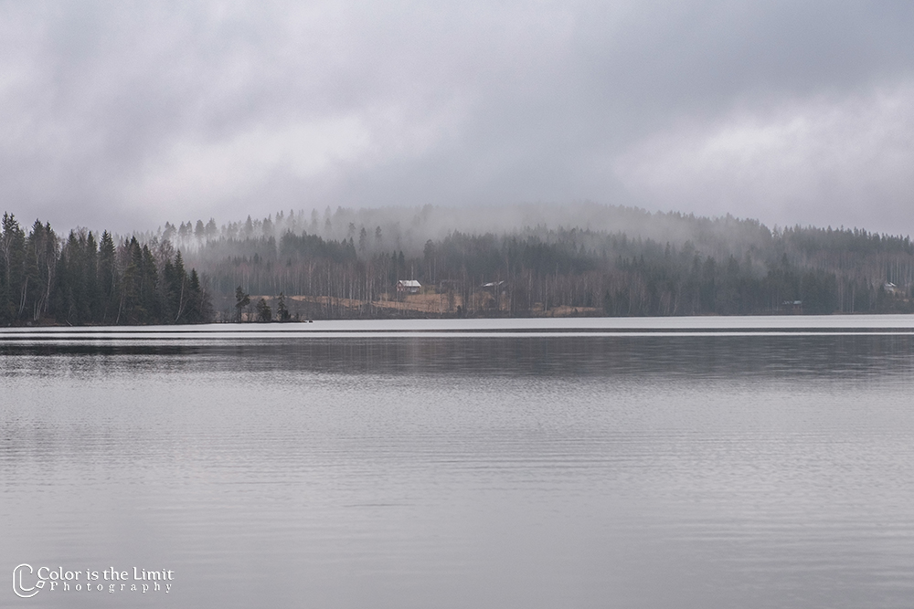 Mellan-svan - Svanskog - Säffle - Sverige