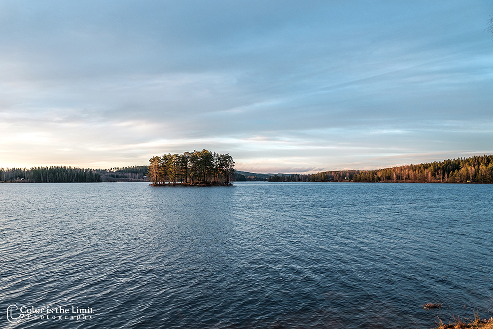 Mellan-svan - Svanskog - Säffle - Sverige