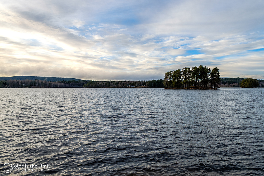Mellan-svan - Svanskog - Säffle - Sverige