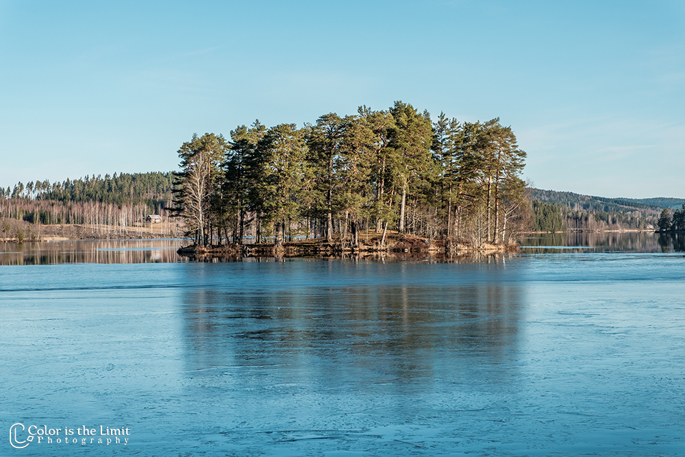 Mellan-svan - Svanskog - Säffle - Sverige