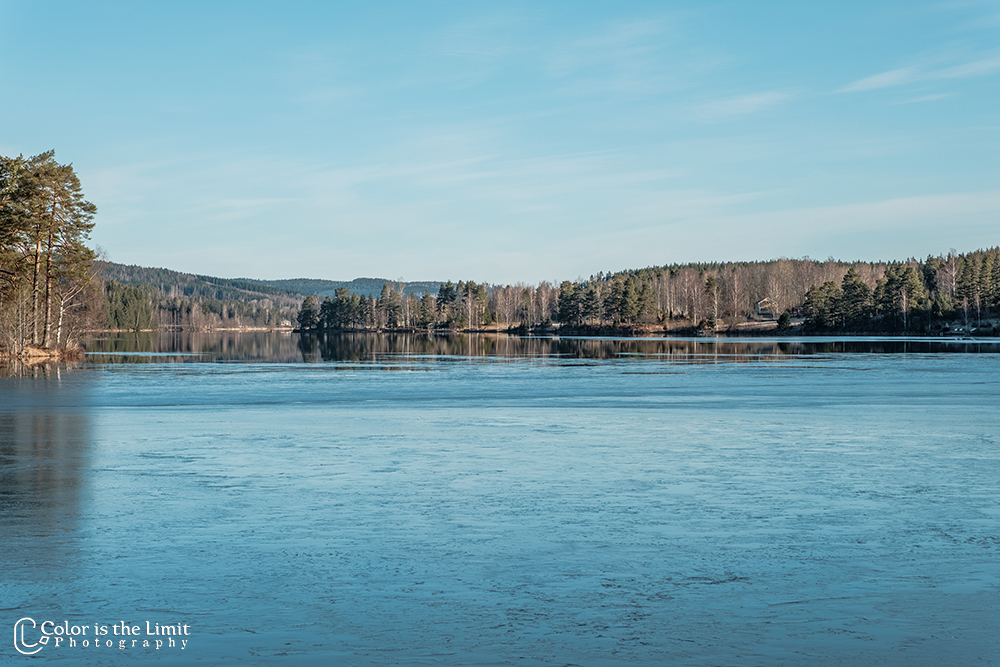 Mellan-svan - Svanskog - Säffle - Sverige