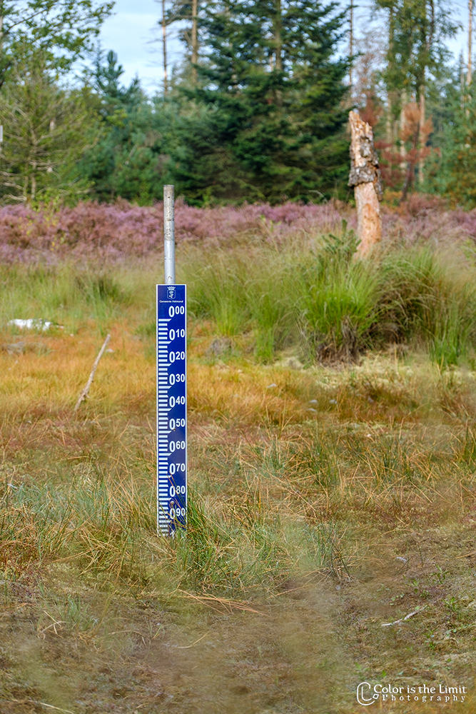 Stiphoutse bossen | Helmond