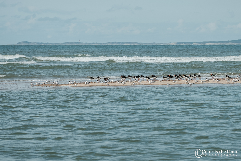 Vrouwenpolder | Zeeland