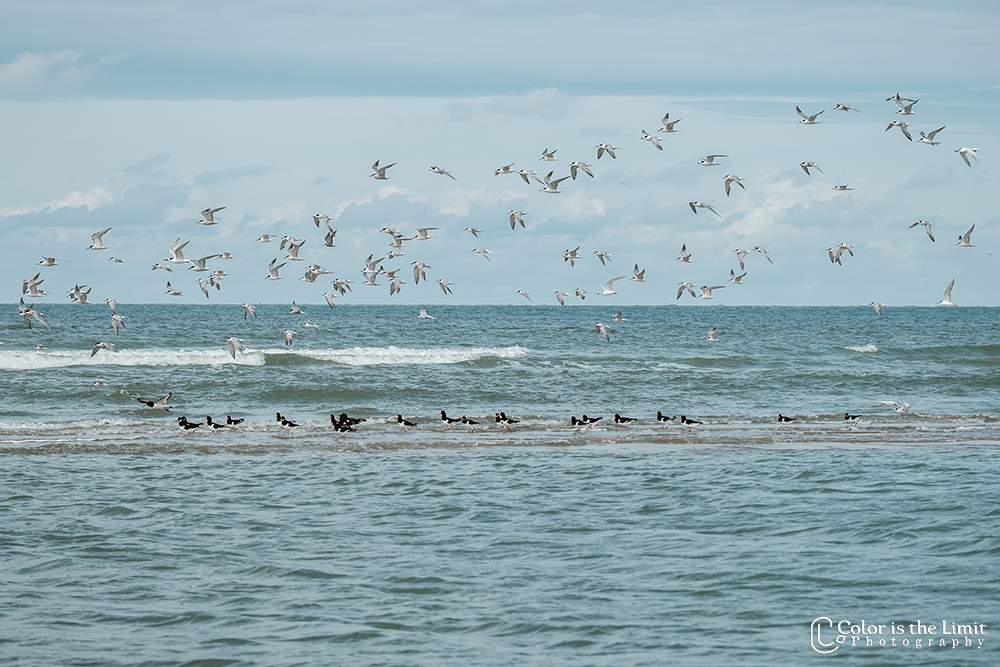 Vrouwenpolder | Zeeland