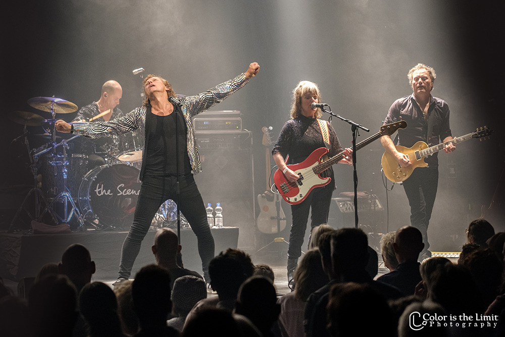 The Scene | de Cacaofabriek