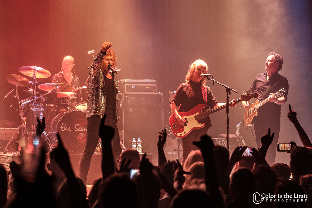 The Scene | de Cacaofabriek